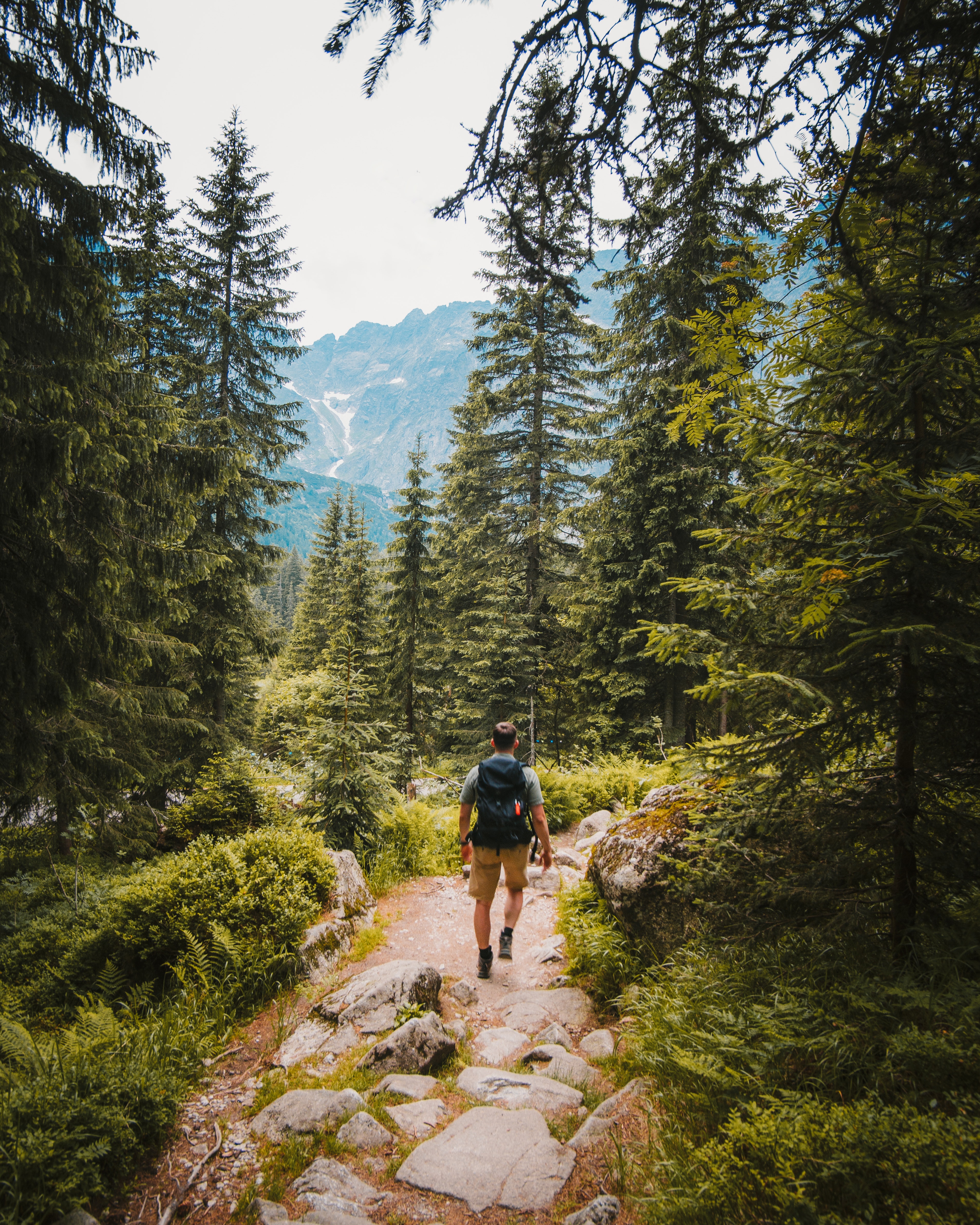 Man hiking in the forest 